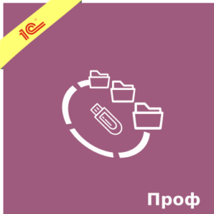 1С Документооборот ПРОФ 1С Документооборот ПРОФ